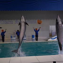 Otaru Aquarium