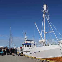 Whalesafari Andenes