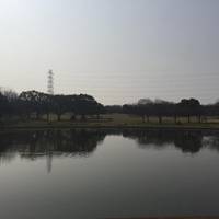 Daisen Park