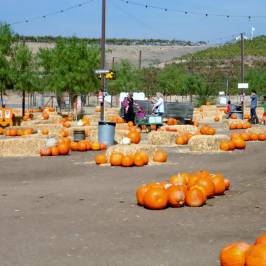 Peltzer Farms