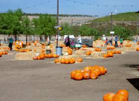 Peltzer Farms