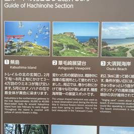 Kabushima Island