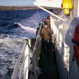 Clare Island Ferry Co.