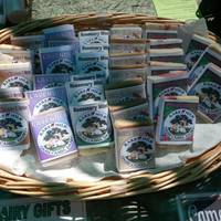 Oasis Camel Dairy