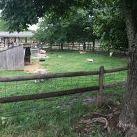 Deanna Rose Children's Farmstead