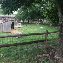 Deanna Rose Children's Farmstead