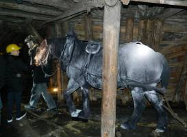 Musee de la mine