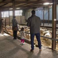 Mainsgill Farm
