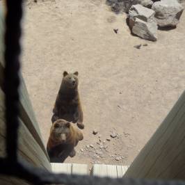 Terra Natura Murcia