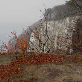 Kreidefelsen