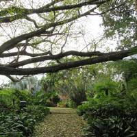 Queens Gardens Townsville