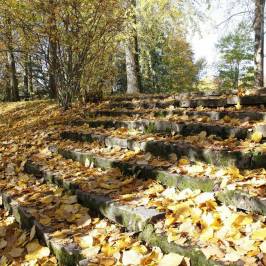 Boulognerskogen City Park