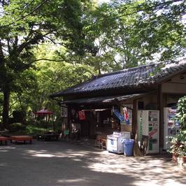 Gifu Park