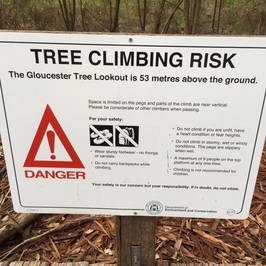 Gloucester Tree
