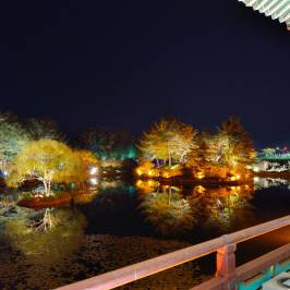 Anapji Pond