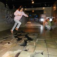 Trick Art Museum