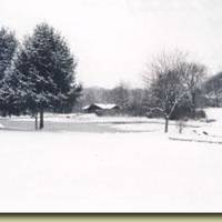 Wallace Hartman Nature Preserve