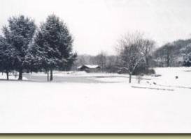 Wallace Hartman Nature Preserve