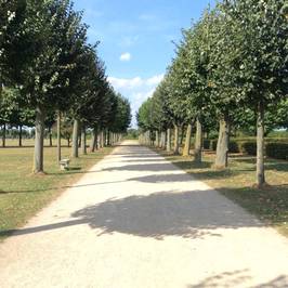 Archaeologiepark Xanten