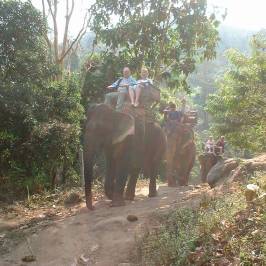 Maetaman Elephant Camp