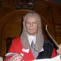 The Courtroom Experience