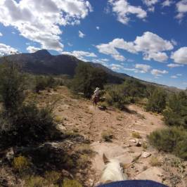 Canyon Trails Ranch Guided Horse Tours