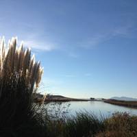 Suisun City Marina and Boat Ramp