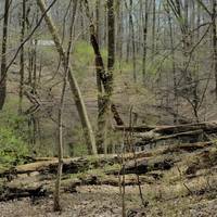 Iron Hill Park