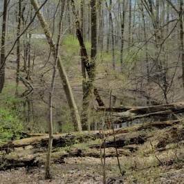 Iron Hill Park