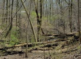 Iron Hill Park