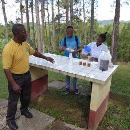 Croydon Plantation