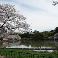 Meijo Park