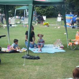 Lydiard Park
