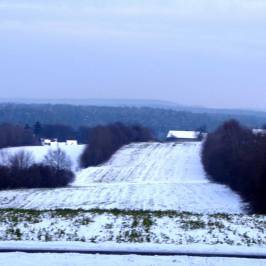 Waldhufensiedlung