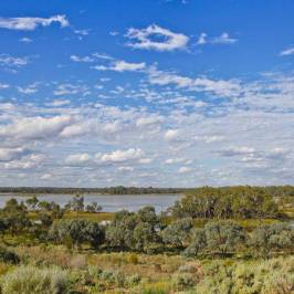 Lang's Native Plant Nursery