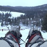 320 Guest Ranch