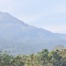 Chembra Peak