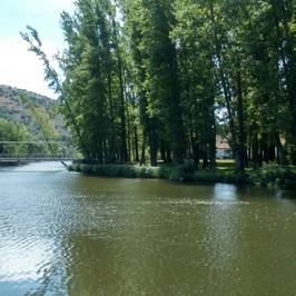 Soto Playa