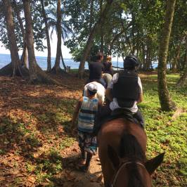 Caribe Horse Riding Club
