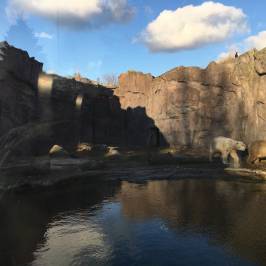 Zoom Erlebniswelt