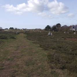 Megaliths of Carnac