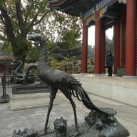 The Imperial Garden of The Palace Museum