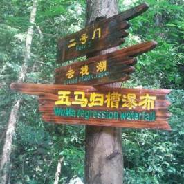 Daguishan National Forest Park