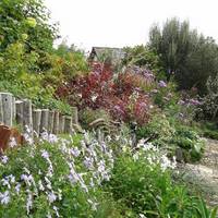 Lip na Cloiche Garden and Nursery