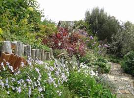 Lip na Cloiche Garden and Nursery