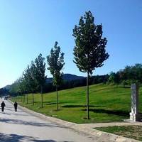 Xishan National Forest Park