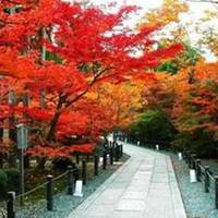 Xiaolongmen Forest Park