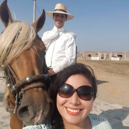 Caballos Peruanos de Paso