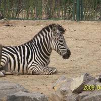 Jinan Zoo