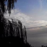 East Dongting Lake National Nature Reserve